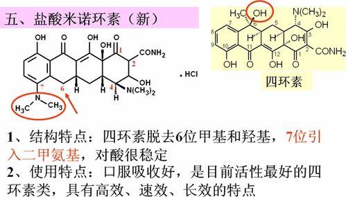 药物化学视角下的抗生素 从作用机制到合理应用